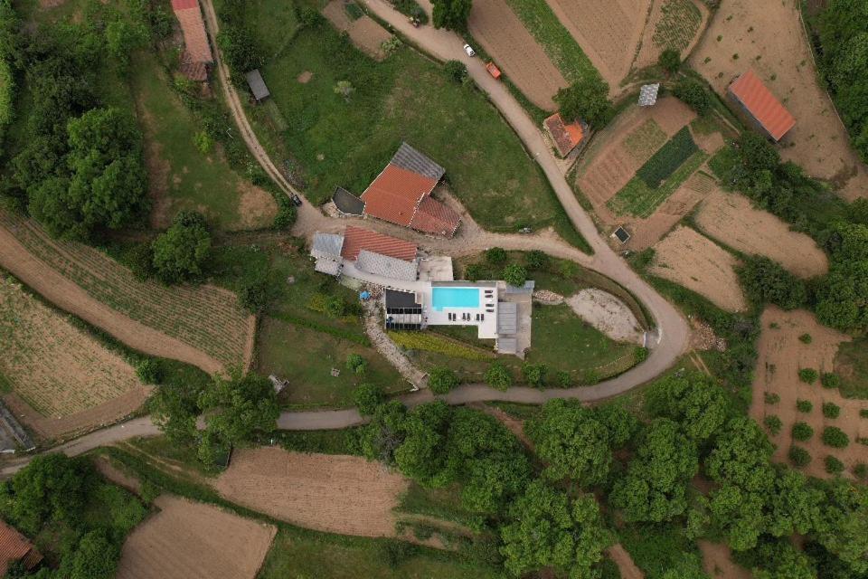 Quinta Dos Castanheiros - Negreda