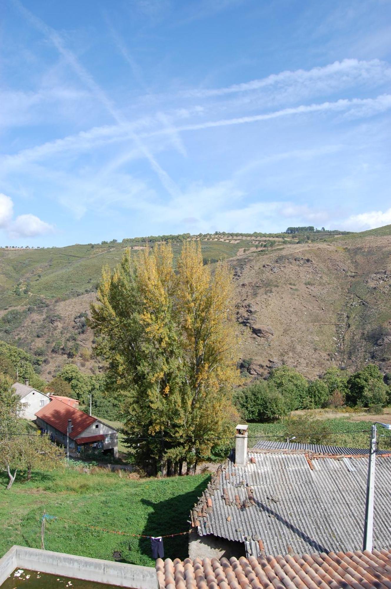 Quinta Dos Castanheiros - Negreda