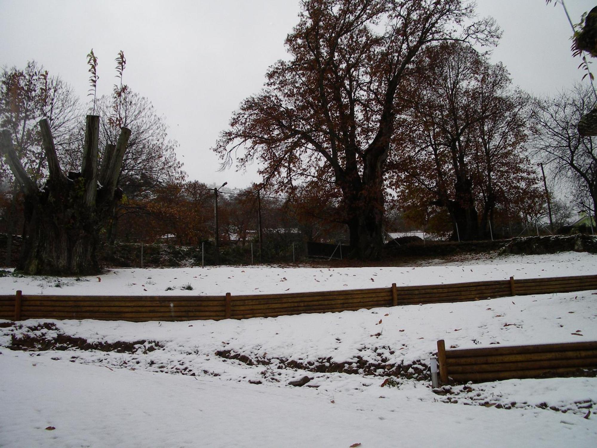 Quinta Dos Castanheiros - *